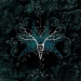 Aeldergeyst - Werde (2025)