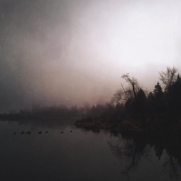 让大自然教会你静谧