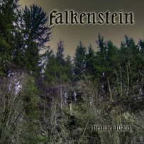 Falkenstein - Heiliger Wald (2008)