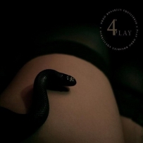 Ordo Rosarius Equilibrio - 4Play (2013)