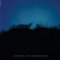 Lux Interna - New Wilderness Gospel (2025)
