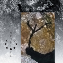 Apoptose - Nordland (2000)