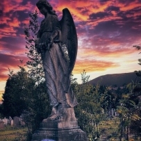 对于一个熬了一整夜的人来说，日出是一幅令人欣喜的景象