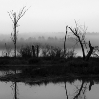 哈德逊角自然保护区