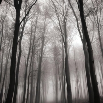 Dark Lane