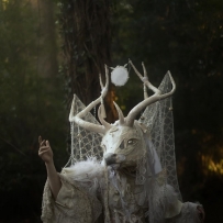 The Moon Faun