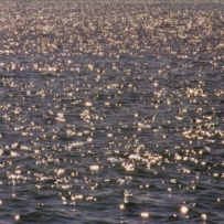 Dark Water Memories - The Rejuvenation Ballet: Music For Those Across The Riv...