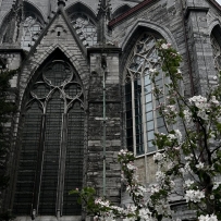 带我去那片闹鬼的天堂