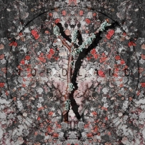 Apoptose - Nordland LP (2023)