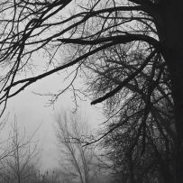 Alone...