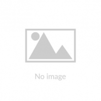 Caprice - Elvenmusic (2001)