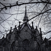 尖顶和石块在冬日的枝桠间拔地而起——一座被暮色和被...