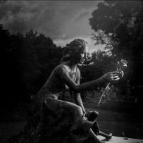 位于纽约州布法罗市的森林草坪公墓