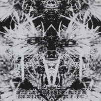 Terra Teratos - Meditations about secret of my Dark Destiny. Part 1 (2007)