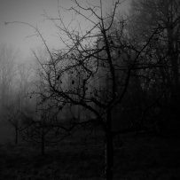Darkness Comes From Within