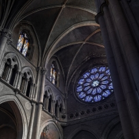 vae soli (I)