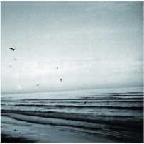 Babylon Autumn/Land Of Birds/Age Of Contempt - By The Greatest Sea I ... (2018)